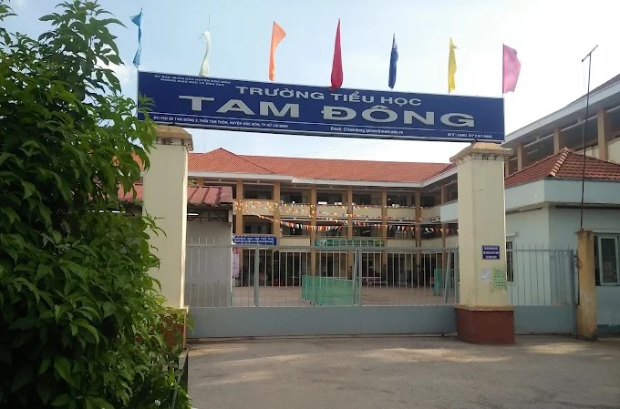 Tuyển đơn vị thi công sửa chữa các hạng mục xuống cấp tại trường tiểu học Tam Đông – Hóc Môn